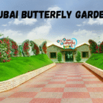 Dubai butterfly garden