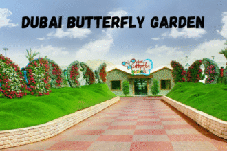 Dubai butterfly garden