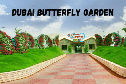 Dubai butterfly garden