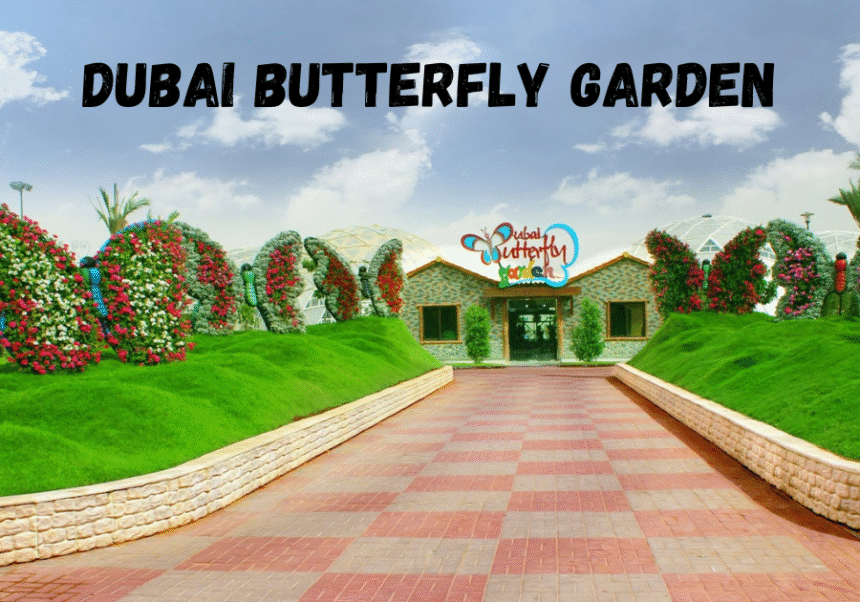 Dubai butterfly garden