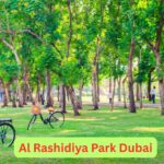 Al Rashidiya Park Dubai family park with playground and greenery