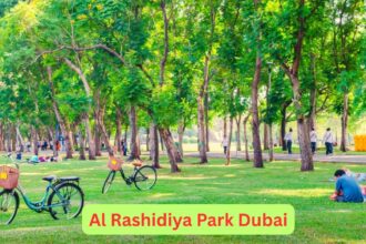 Al Rashidiya Park Dubai family park with playground and greenery