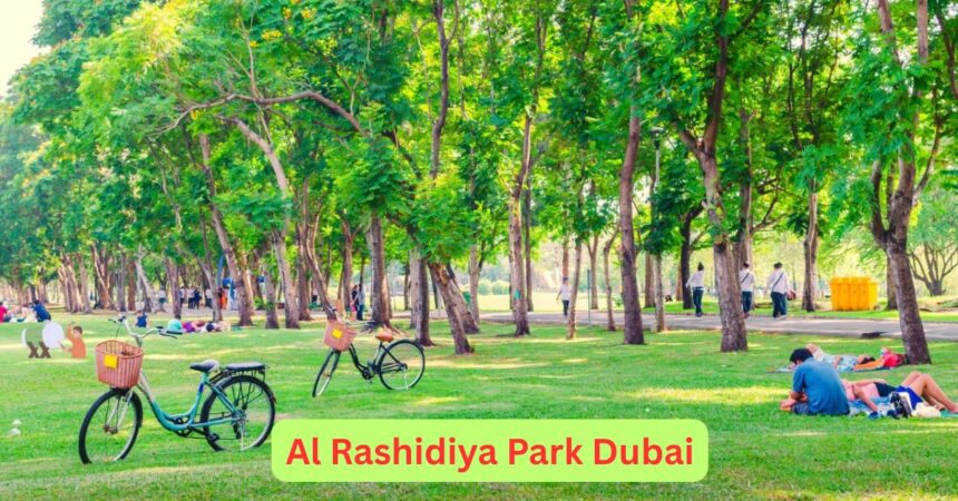 Al Rashidiya Park Dubai family park with playground and greenery