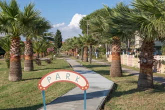 Umm Al Emarat Park