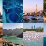 Things to Do in Dubai