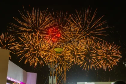 Sheikh Zayed Festival